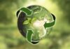 Green logistics – zielona logistyka